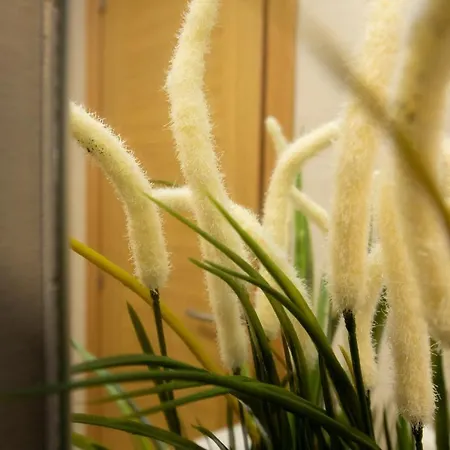 Apartagal-urbanización Ii Apartman Foz