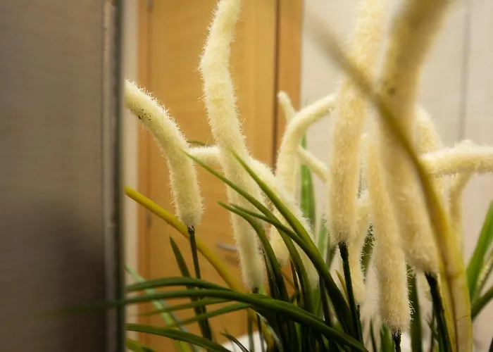 Apartagal-urbanizacion Ii Διαμέρισμα Foz